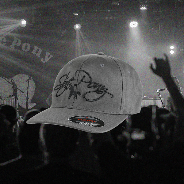 帽子 stone  HAT Flex Fit Cap – The Stone Pony Asbury Park