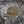 Jetty x Stone Pony “Ocean Avenue & 2nd Avenue” Snapback Hat