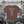 Jetty x Stone Pony “Ocean Avenue & 2nd Avenue” Women’s Baby Tee