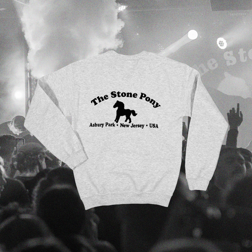 Pony Crew Neck Sweatshirt